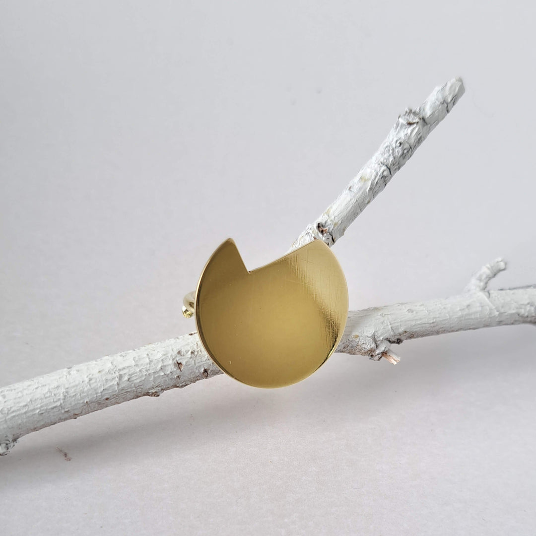 Balance ring displayed on a branch