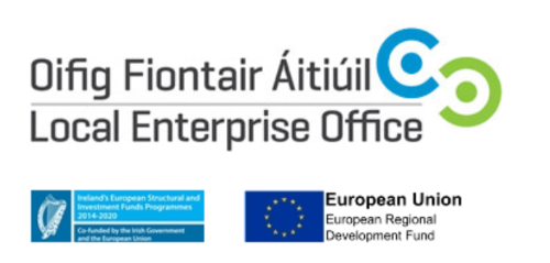 A photo of Local_Enterprise_Office green and blue logo